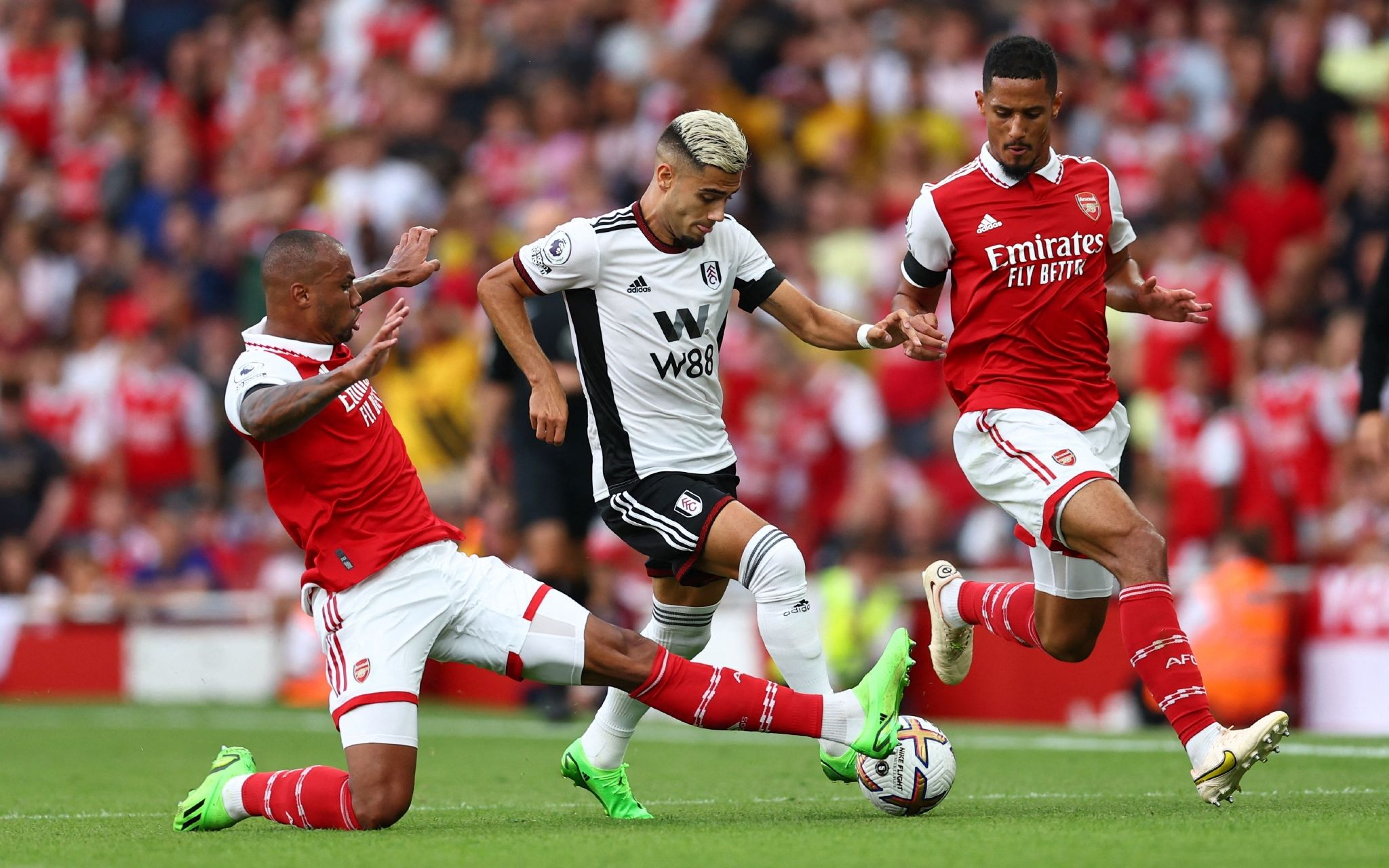 新的乐趣与 新的乐趣与