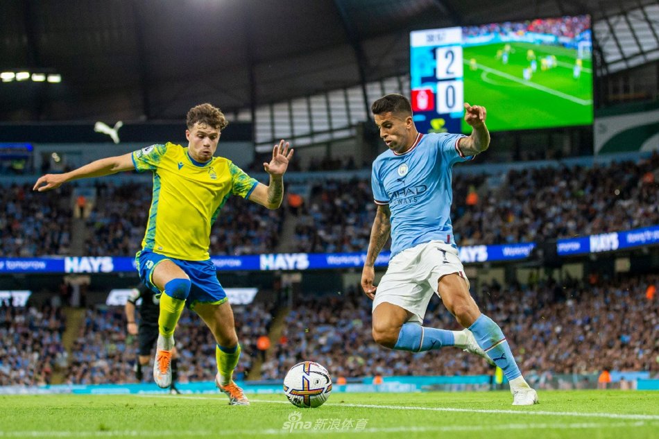 的培养和高 的培养和高